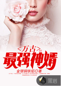 萬古最強神婿 金銀銅鐵鋁 久久小說網